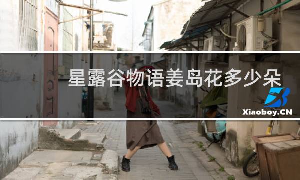 星露谷物语姜岛花多少朵