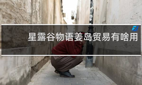 星露谷物语姜岛贸易有啥用