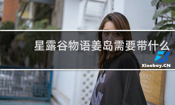 星露谷物语姜岛需要带什么