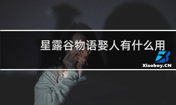 星露谷物语娶人有什么用