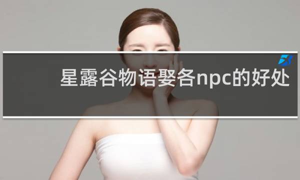 星露谷物语娶各npc的好处