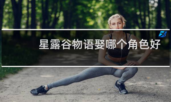 星露谷物语娶哪个角色好