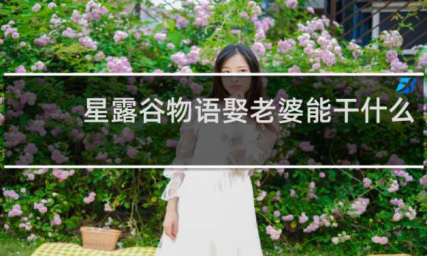 星露谷物语娶老婆能干什么