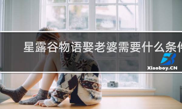 星露谷物语娶老婆需要什么条件