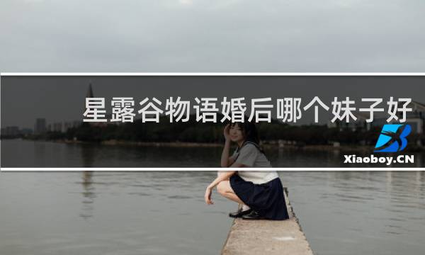 星露谷物语婚后哪个妹子好