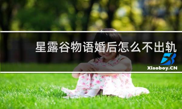 星露谷物语婚后怎么不出轨