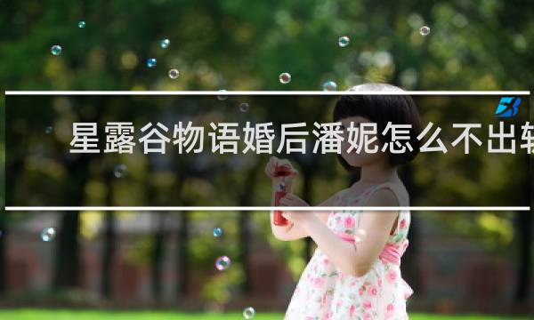 星露谷物语婚后潘妮怎么不出轨