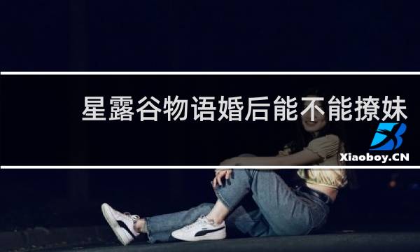 星露谷物语婚后能不能撩妹