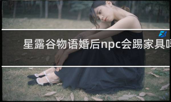 星露谷物语婚后npc会踢家具吗