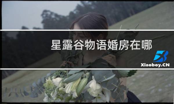 星露谷物语婚房在哪