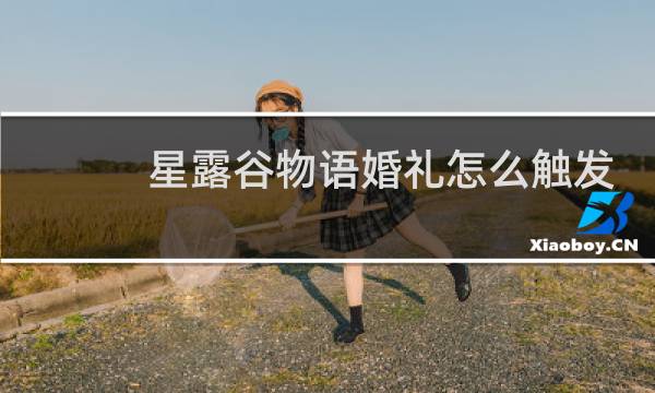 星露谷物语婚礼怎么触发