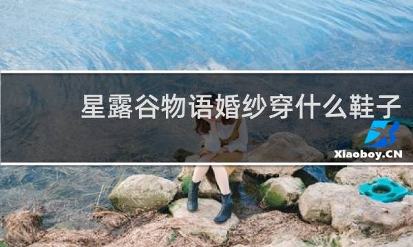 星露谷物语婚纱穿什么鞋子