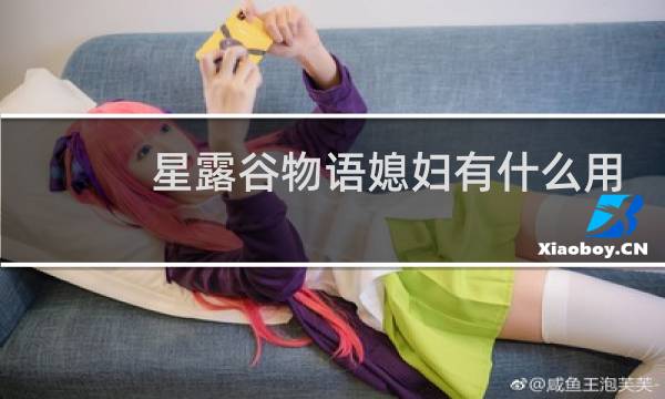 星露谷物语媳妇有什么用