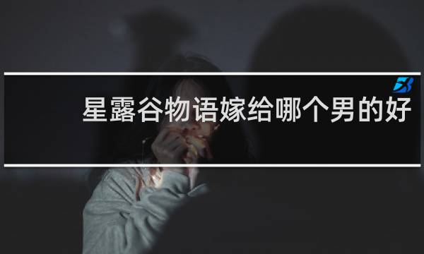 星露谷物语嫁给哪个男的好