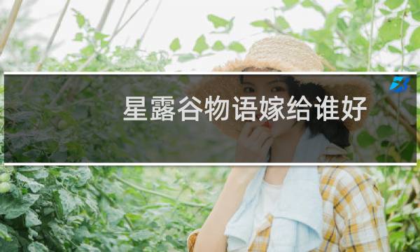 星露谷物语嫁给谁好