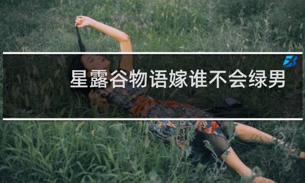 星露谷物语嫁谁不会绿男