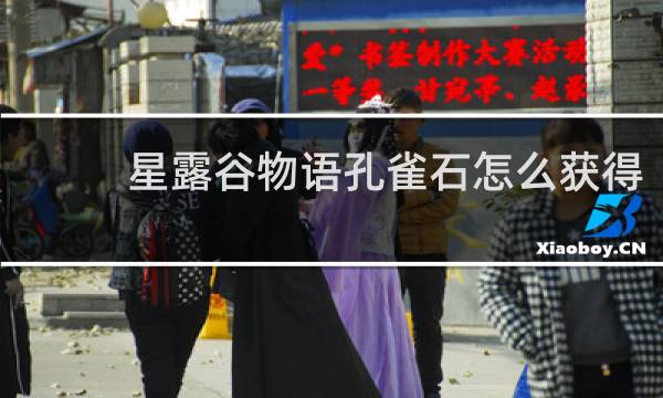 星露谷物语孔雀石怎么获得