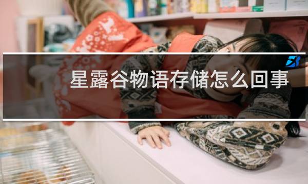 星露谷物语存储怎么回事