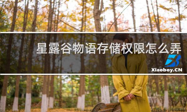 星露谷物语存储权限怎么弄
