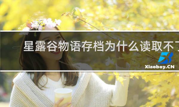 星露谷物语存档为什么读取不了