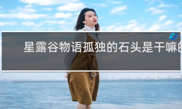 星露谷物语孤独的石头是干嘛的