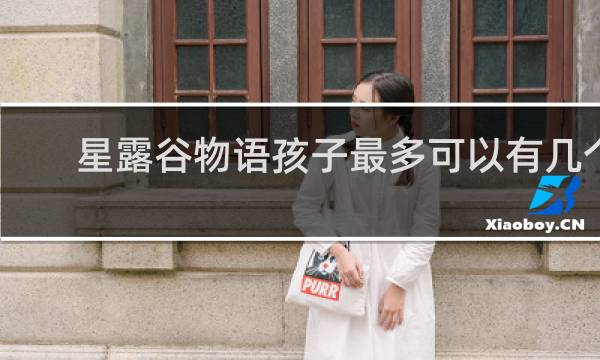 星露谷物语孩子最多可以有几个