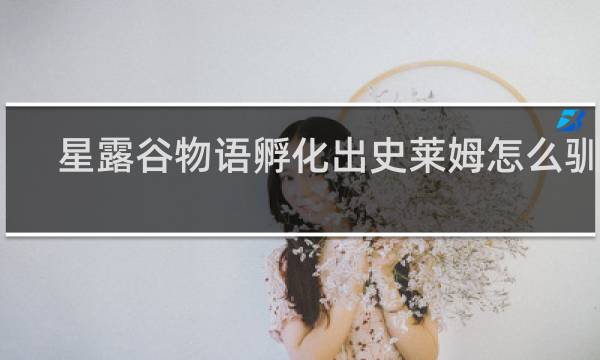 星露谷物语孵化出史莱姆怎么驯服