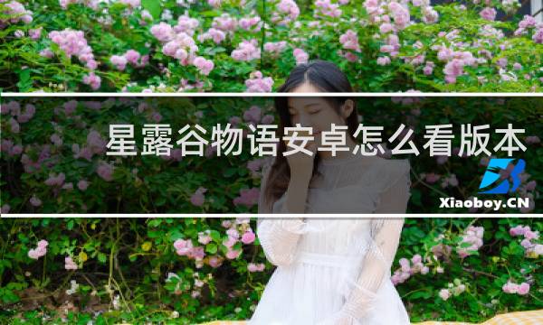 星露谷物语安卓怎么看版本