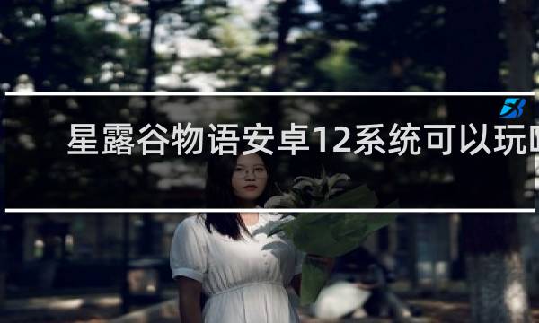 星露谷物语安卓12系统可以玩吗