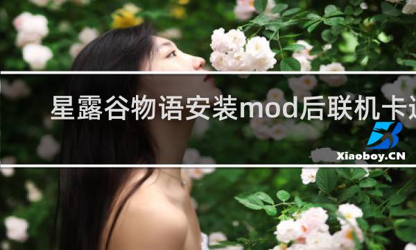 星露谷物语安装mod后联机卡退