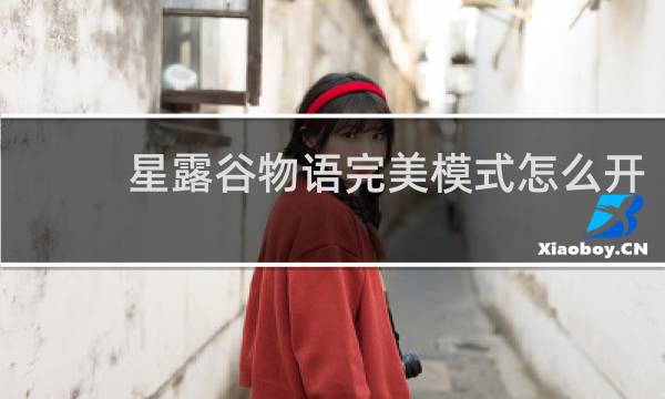 星露谷物语完美模式怎么开