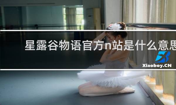 星露谷物语官方n站是什么意思
