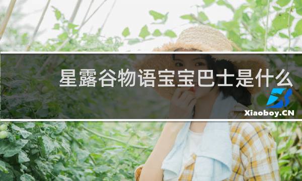 星露谷物语宝宝巴士是什么