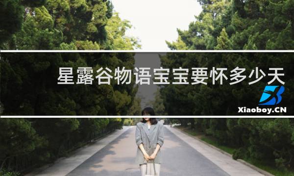 星露谷物语宝宝要怀多少天