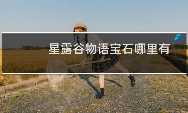 星露谷物语宝石哪里有