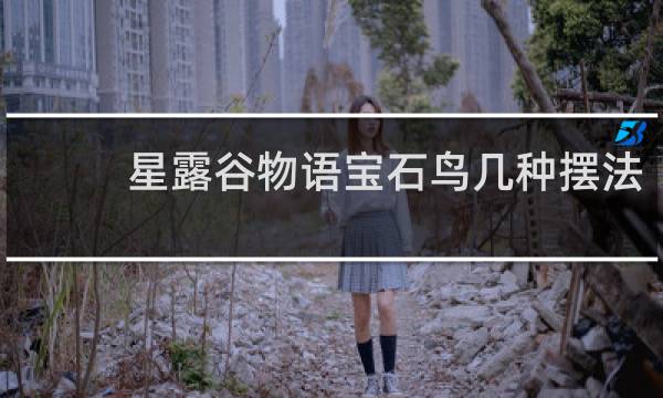 星露谷物语宝石鸟几种摆法