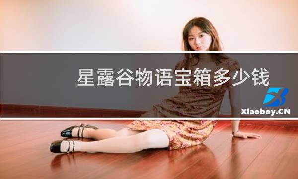 星露谷物语宝箱多少钱