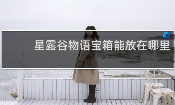 星露谷物语宝箱能放在哪里