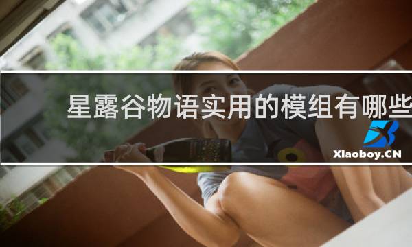 星露谷物语实用的模组有哪些