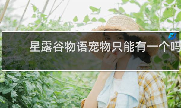星露谷物语宠物只能有一个吗