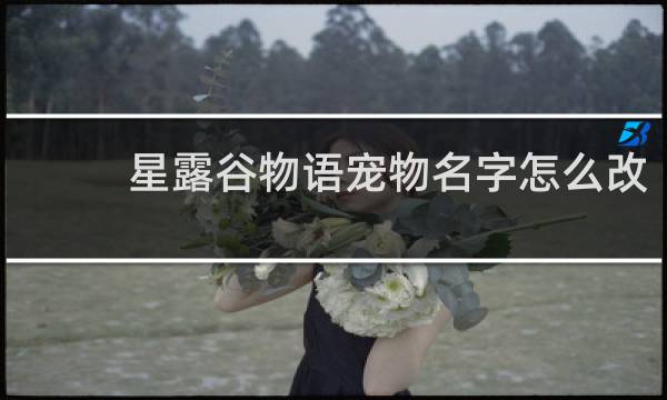 星露谷物语宠物名字怎么改