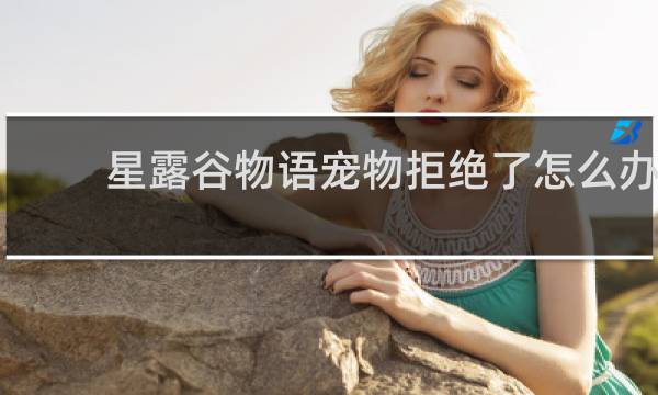 星露谷物语宠物拒绝了怎么办