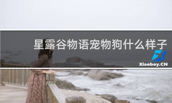 星露谷物语宠物狗什么样子
