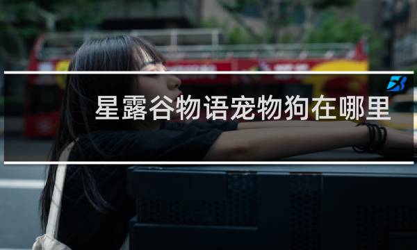 星露谷物语宠物狗在哪里