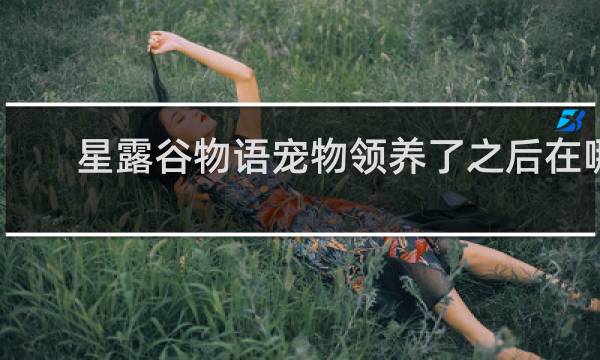 星露谷物语宠物领养了之后在哪