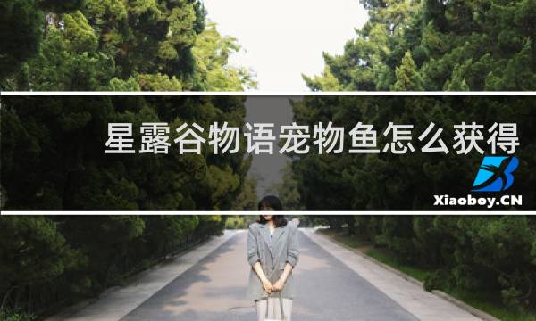 星露谷物语宠物鱼怎么获得