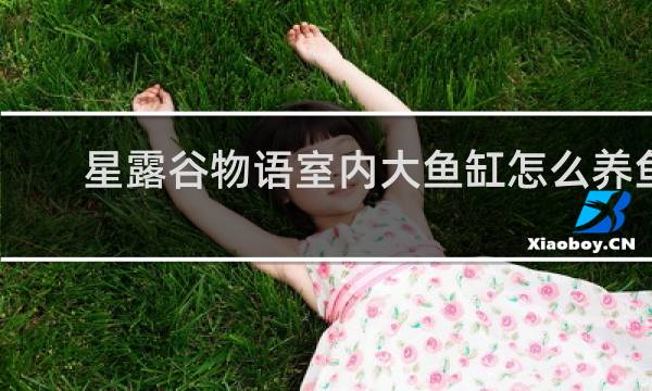 星露谷物语室内大鱼缸怎么养鱼