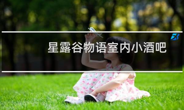 星露谷物语室内小酒吧