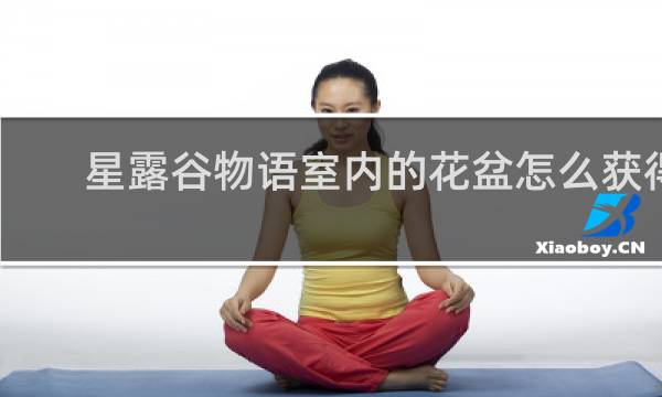 星露谷物语室内的花盆怎么获得