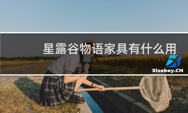 星露谷物语家具有什么用